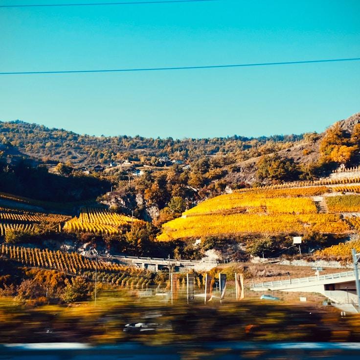 Family terraces and cafés for calm evenings in Mountain View